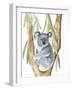 Woodland Koala I-Annie Warren-Framed Art Print