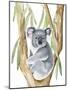 Woodland Koala I-Annie Warren-Mounted Art Print