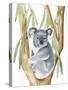 Woodland Koala I-Annie Warren-Stretched Canvas