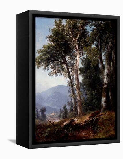 Woodland Landscape, C.1850-Asher Brown Durand-Framed Stretched Canvas