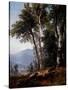 Woodland Landscape, C.1850-Asher Brown Durand-Stretched Canvas