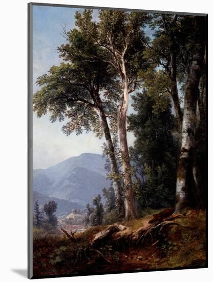Woodland Landscape, C.1850-Asher Brown Durand-Mounted Giclee Print