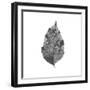 Woodland Leaves I-The Chelsea Collection-Framed Giclee Print