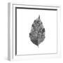 Woodland Leaves I-The Chelsea Collection-Framed Giclee Print