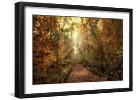 Woodland Light-Jessica Jenney-Framed Giclee Print