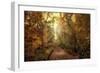 Woodland Light-Jessica Jenney-Framed Giclee Print