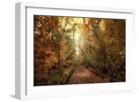 Woodland Light-Jessica Jenney-Framed Giclee Print