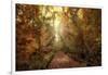 Woodland Light-Jessica Jenney-Framed Giclee Print