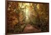 Woodland Light-Jessica Jenney-Framed Giclee Print