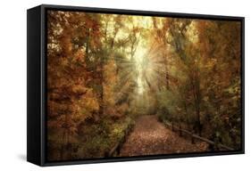 Woodland Light-Jessica Jenney-Framed Stretched Canvas