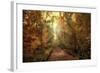 Woodland Light-Jessica Jenney-Framed Giclee Print