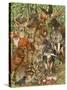 Woodland Mammals-Wendy Edelson-Stretched Canvas