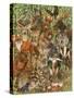 Woodland Mammals-Wendy Edelson-Stretched Canvas