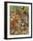 Woodland Mammals-Wendy Edelson-Framed Giclee Print