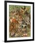 Woodland Mammals-Wendy Edelson-Framed Giclee Print