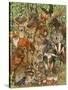 Woodland Mammals-Wendy Edelson-Stretched Canvas