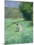 Woodland Meadow, 1876-Hans Thoma-Mounted Giclee Print