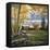 Woodland Meadows-John Van Straalen-Framed Stretched Canvas