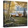 Woodland Meadows-John Van Straalen-Stretched Canvas