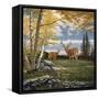 Woodland Meadows-John Van Straalen-Framed Stretched Canvas