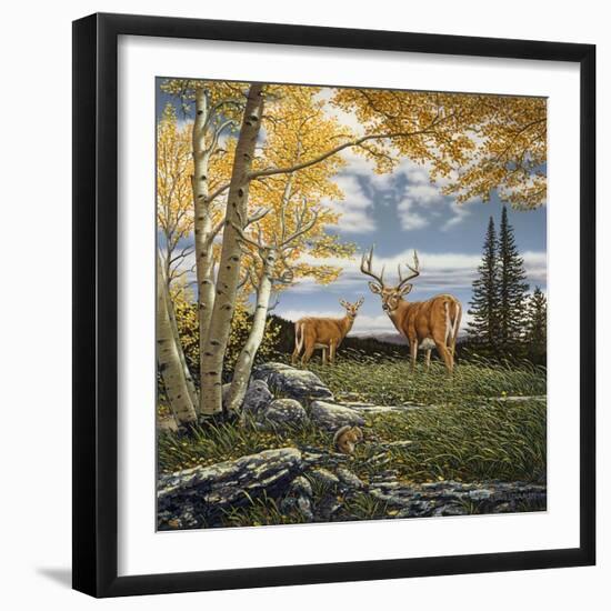 Woodland Meadows-John Van Straalen-Framed Giclee Print