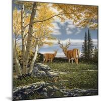 Woodland Meadows-John Van Straalen-Mounted Giclee Print