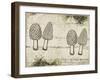 Woodland mushrooms-null-Framed Giclee Print