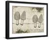 Woodland mushrooms-null-Framed Giclee Print