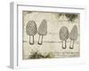 Woodland mushrooms-null-Framed Giclee Print