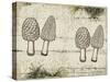 Woodland mushrooms-null-Stretched Canvas