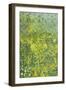 Woodland Opening, 2014-Leigh Glover-Framed Giclee Print