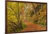 Woodland path through a deciduous forest in autumn, Watersmeet, Exmoor National Park, Devon-Adam Burton-Framed Photographic Print