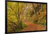 Woodland path through a deciduous forest in autumn, Watersmeet, Exmoor National Park, Devon-Adam Burton-Framed Photographic Print