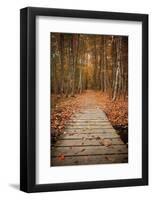 Woodland Path-Michael Hudson-Framed Art Print