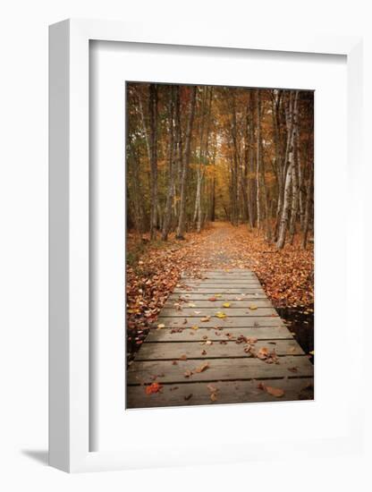Woodland Path-Michael Hudson-Framed Art Print