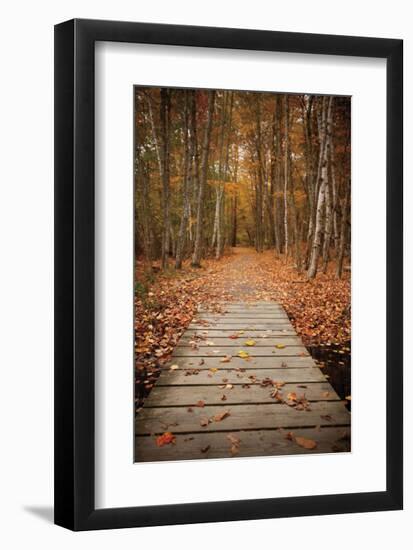 Woodland Path-Michael Hudson-Framed Giclee Print