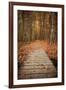 Woodland Path-Michael Hudson-Framed Art Print