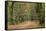 Woodland Path-Adrian Bicker-Framed Stretched Canvas