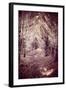 Woodland Path-Steve Allsopp-Framed Photographic Print