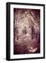 Woodland Path-Steve Allsopp-Framed Photographic Print