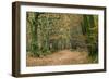 Woodland Path-Adrian Bicker-Framed Photographic Print