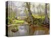 Woodland Pond, 1890-Peder Mork Monsted-Stretched Canvas