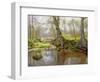 Woodland Pond, 1890-Peder Mork Monsted-Framed Giclee Print