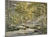 Woodland Pool with Men Fishing, 1870 (W/C on Paper)-John William Hill-Mounted Giclee Print