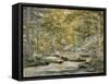 Woodland Pool with Men Fishing, 1870 (W/C on Paper)-John William Hill-Framed Stretched Canvas