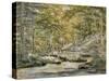 Woodland Pool with Men Fishing, 1870 (W/C on Paper)-John William Hill-Stretched Canvas