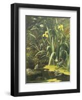 Woodland Pool-Olaf August Hermansen-Framed Giclee Print