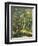 Woodland Pool-Olaf August Hermansen-Framed Giclee Print