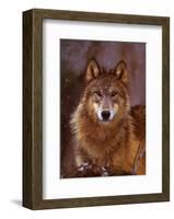 Woodland Pride, Montana-Art Wolfe-Framed Art Print