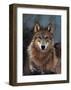 Woodland Pride, Montana-Art Wolfe-Framed Giclee Print